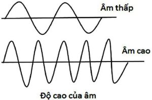 Âm Bass Là Gì Trong Âm Nhạc? Khám Phá Nền Tảng Sức Mạnh Của Giai Điệu