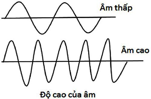 Âm Bass Là Gì Trong Âm Nhạc? Khám Phá Nền Tảng Sức Mạnh Của Giai Điệu
