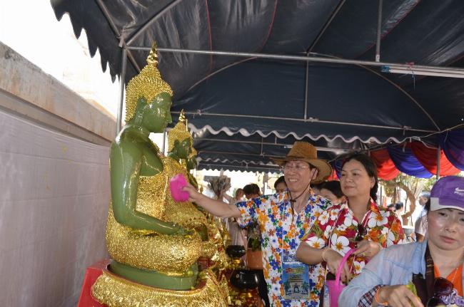 Hoa Chăm Pa tượng trưng cho tình yêu, tình hữu nghị bền chặt.