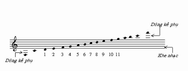 Khuông nhạc và các kí hiệu âm nhạc cơ bản gồm vạch nhịp và dòng kẻ phụ
