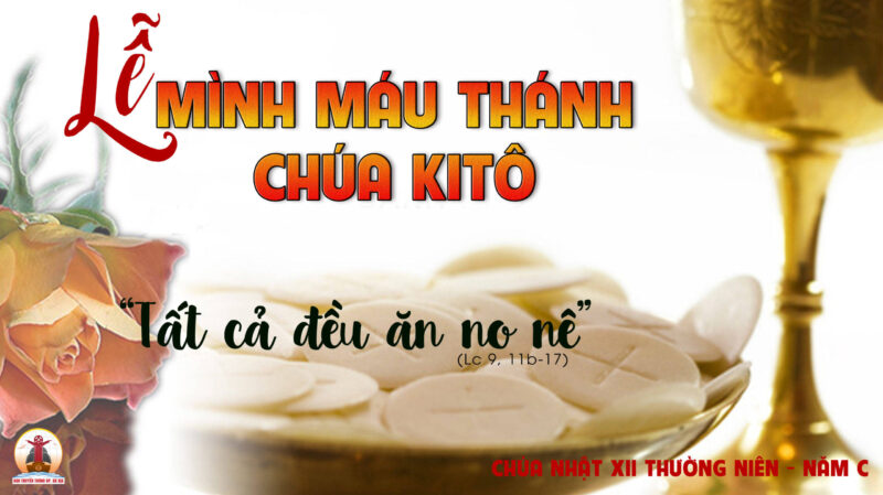 Lời Bài Hát Dòng Máu Lạc Hồng: Bản Hùng Ca Về Cội Nguồn Dân Tộc