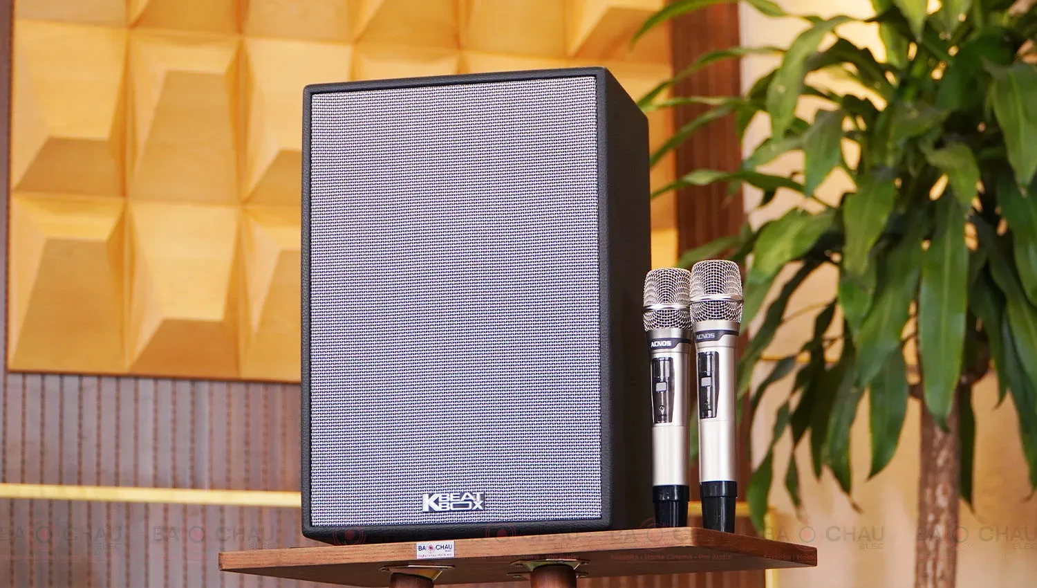 Loa Xách Tay Acnos CS286 Plus với các chi tiết micro và điều khiển