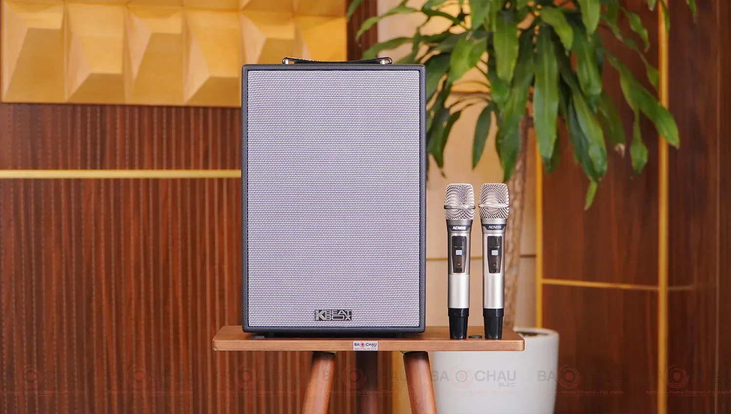 Loa Xách Tay Acnos CS286 Plus với thiết kế hiện đại