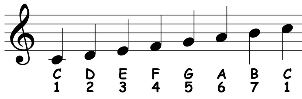 Nhạc Lý Là Gì? Chìa Khóa Mở Cánh Cửa Thế Giới Âm Nhạc Đầy Sắc Màu
