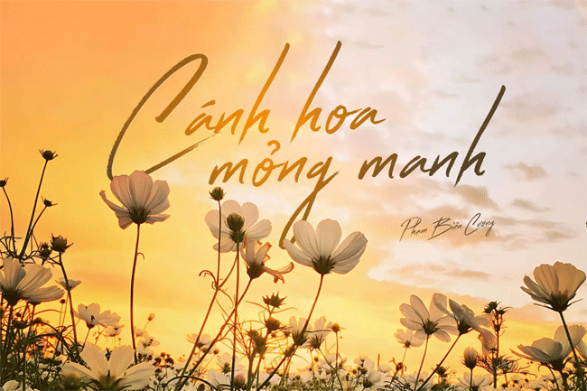 Lời Bài Hát Điều Anh Biết: Giai Điệu Tình Yêu Chân Thành Từ Ân Nhi