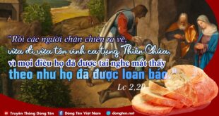 Lời Bài Hát Chuyện Tình Mộng Thường: Nét Bi Ai Về Tình Yêu Thời Chiến