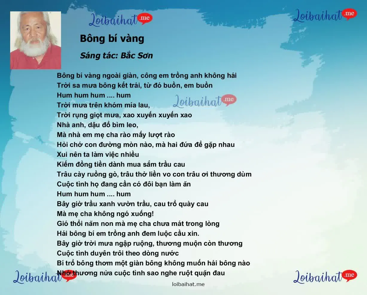 Bông bí vàng