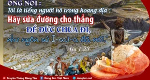 Lời Bài Hát Hãy Nói Với Em Lời Chia Tay: Giai Điệu Buồn Khắc Khoải Của Minh Nhiên