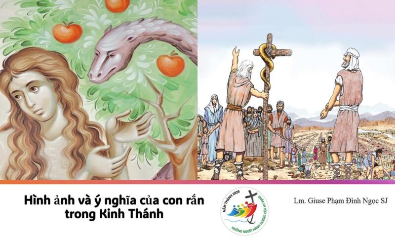 Ý Nghĩa Bài Hát Tự Nguyện: Lời Ca Cao Quý Về Lòng Nhân Ái