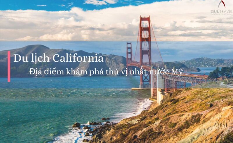Khám Phá Các Địa Điểm Câu Cá Tra Tự Nhiên Gần TPHCM: Hướng Dẫn Toàn Diện Cho Cần Thủ