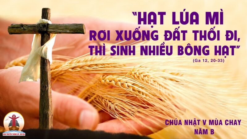 Lời Bài Hát Bông Ô Môi: Nỗi Lòng Người Xa Quê