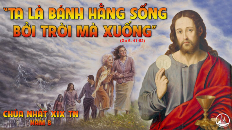 Lời Bài Hát Không Tên Số 8: Đi Tìm Vẻ Đẹp Vĩnh Cửu Của Tình Khúc Ngô Thụy Miên