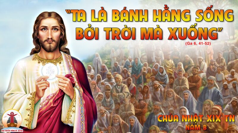 Lời Bài Hát Không Tên Số 8: Đi Tìm Vẻ Đẹp Vĩnh Cửu Của Tình Khúc Ngô Thụy Miên