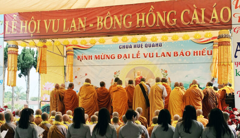 Bông Hồng Cài Áo Lời Bài Hát: Tấm Lòng Hiếu Thảo Và Âm Vang Thời Gian
