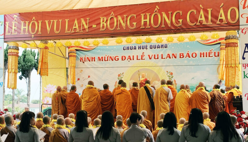 Bông Hồng Cài Áo Lời Bài Hát: Tấm Lòng Hiếu Thảo Và Âm Vang Thời Gian