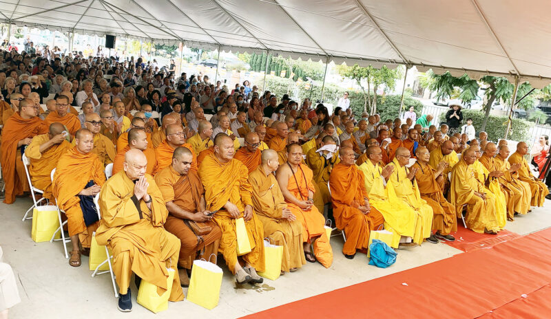 Bông Hồng Cài Áo Lời Bài Hát: Tấm Lòng Hiếu Thảo Và Âm Vang Thời Gian