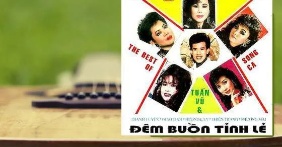 Tiểu sử ca sĩ Trường Vũ