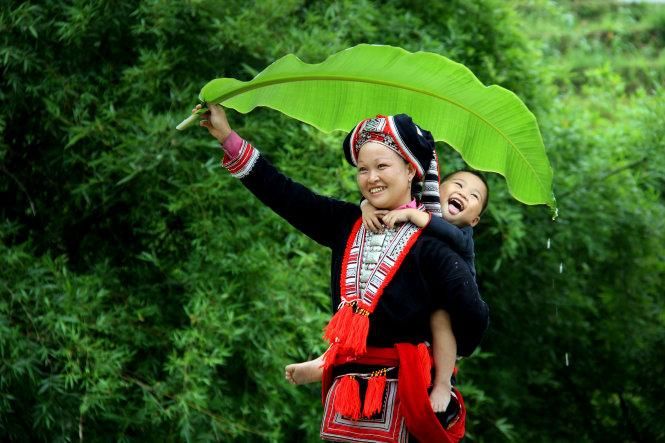 Phân Tích Sâu Sắc "Khúc Hát Ru Trên Lưng Mẹ": Biểu Tượng Tình Yêu và Lòng Yêu Nước