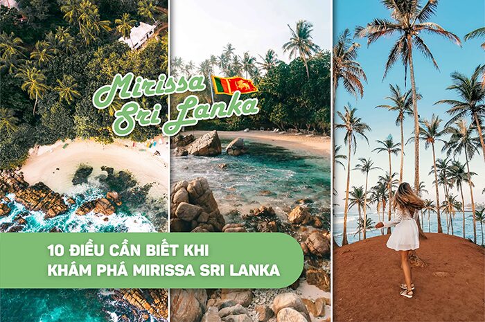 Khám Phá Lời Bài Hát Lý Chim Quyên và Nét Đẹp Văn Hóa Miền Tây