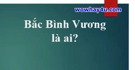 bắc bình vương là ai - Chân dung Quang Trung Hoàng Đế Nguyễn Huệ, vị anh hùng áo vải