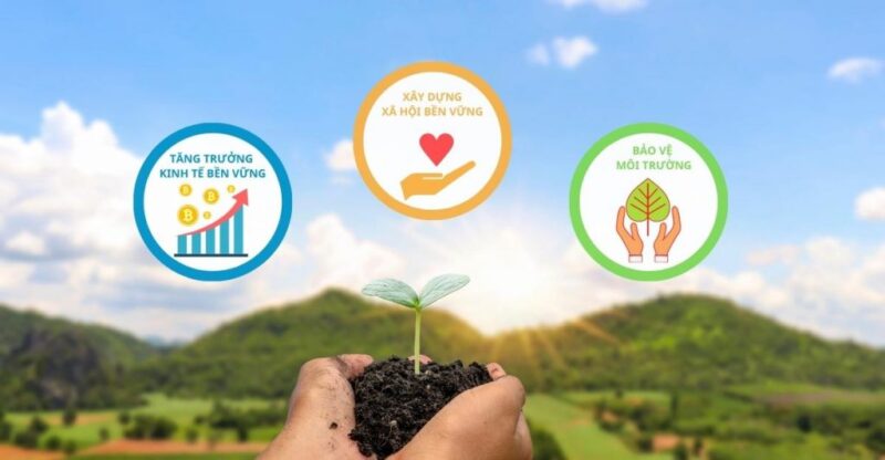 Phát Triển Bền Vững Là Gì? Toàn Diện Về Khái Niệm Và Mục Tiêu