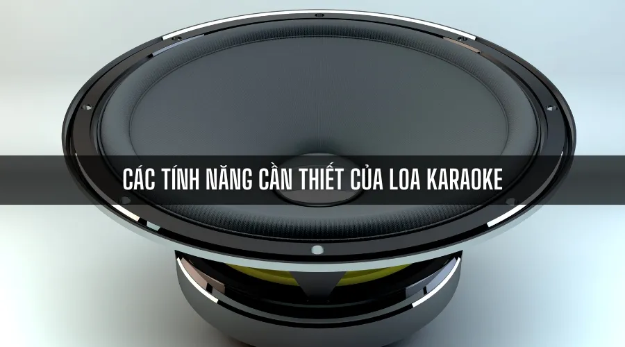 Các tính năng cần thiết của loa karaoke nâng cao trải nghiệm
