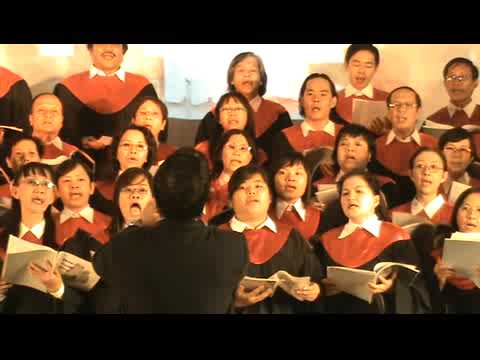 Hợp Âm Chuẩn Bài Hát Nép Vào Anh Và Nghe Anh Hát: Cẩm Nang Chi Tiết Cho Người Yêu Nhạc
