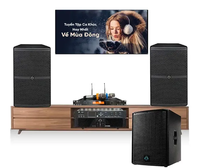 Chọn dàn karaoke để có thể vừa nghe nhạc, vừa hát karaoke với những ca khúc mùa đông