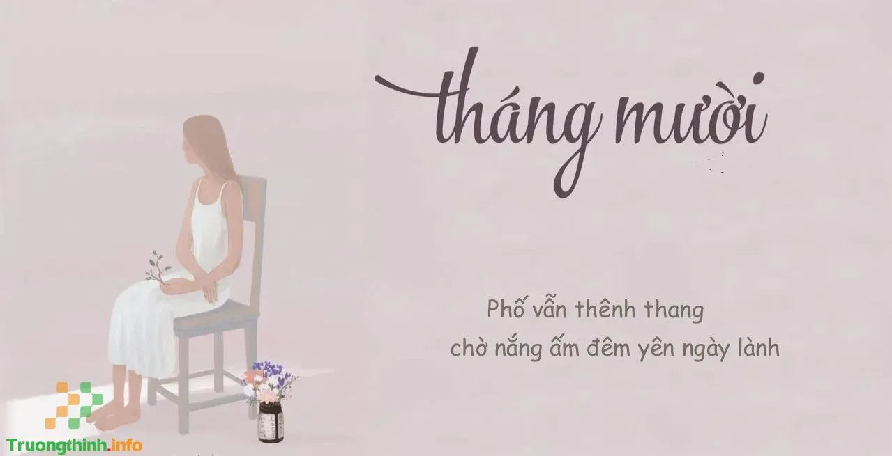 Cô gái tháng 10 ngồi một mình trầm tư giữa khung cảnh mùa thu với lá vàng và nắng nhẹ