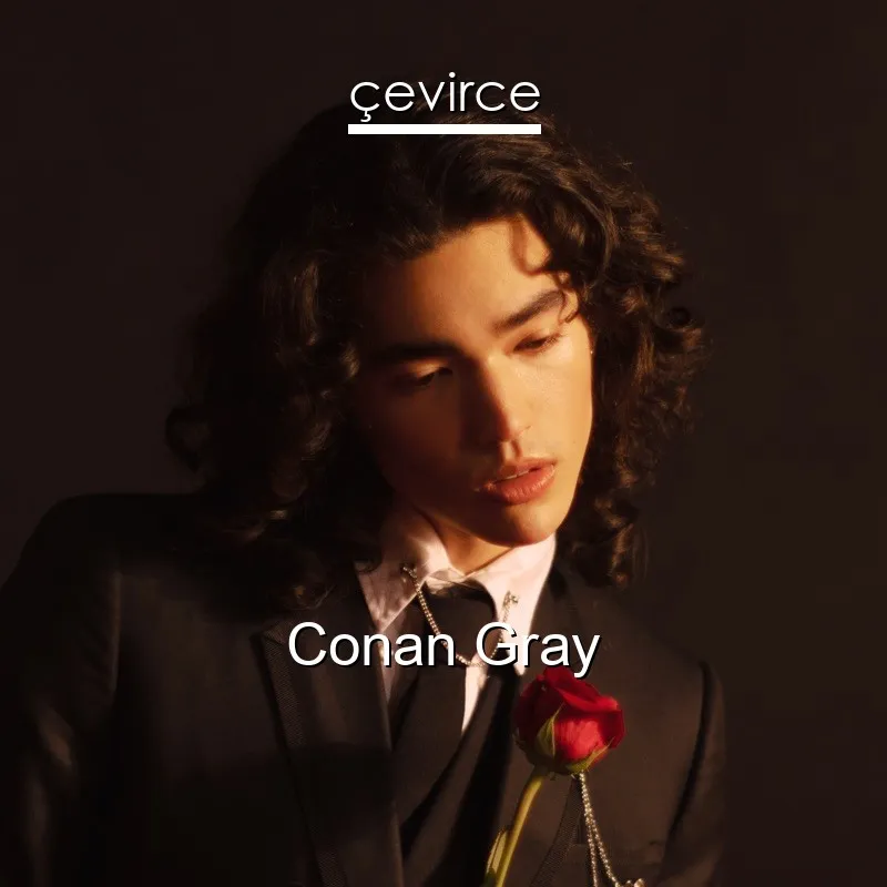 Lời bài hát Conan Gray Memories