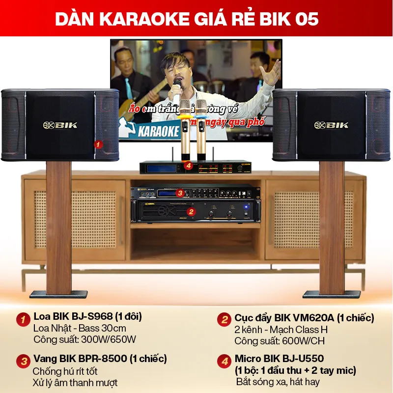 Dàn karaoke giá rẻ 05 được phối ghép từ những thiết bị chính hãng đồng bộ từ thương hiệu BIK Nhật Bản đáp ứng nhu cầu giải trí không gian 30-40m2.