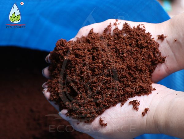 Kỹ Thuật Trồng Chanh Dây Hiệu Quả: Từ A Đến Z Cho Năng Suất Cao