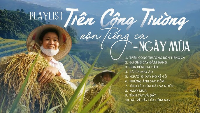 Trên Công Trường Rộn Tiếng Ca: Ca Khúc Bất Hủ Về Tinh Thần Lao Động