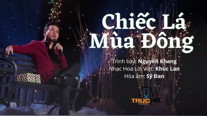 Lời Bài Hát Tình Như Lá Bay Xa: Khám Phá Giai Điệu Nhạc Ngoại Bất Hủ
