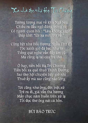 Trúc Nhân Sáng Mắt Chưa Lời Bài Hát: Tuyên Ngôn Đầy Cá Tính Về Tình Yêu Sai Lầm