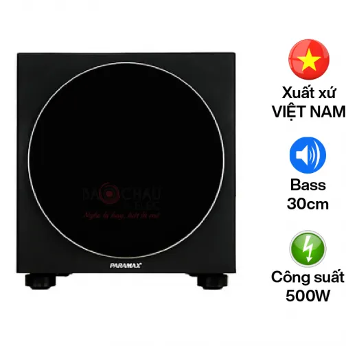Loa Sub điện Paramax sub-1000 (bass 30)