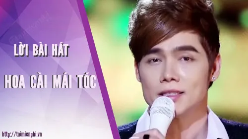 loi bai hat hoa cai mai toc me viet nam mat ngoi sang quac