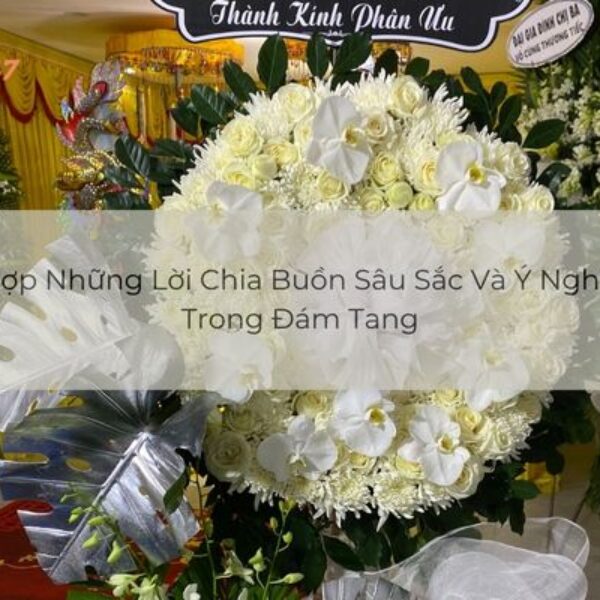 Lời Bài Hát Mùa Hoa Cải: Khám Phá Nét Đẹp Ca Từ Và Ý Nghĩa Sâu Sắc