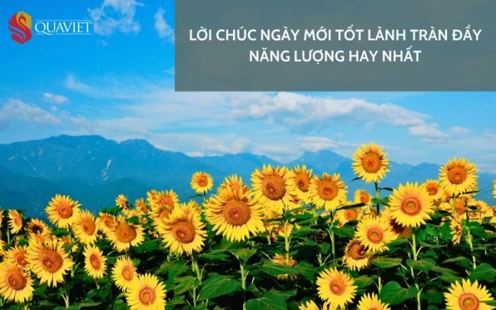 Lời Bài Hát "Con Gà Gáy Le Té": Giai Điệu Tuổi Thơ Bất Hủ