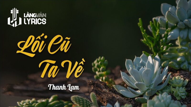 Lối Cũ Ta Về Lời Bài Hát: Khám Phá Ca Khúc Bất Hủ Của Thanh Tùng