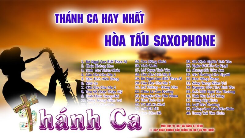 Lời Bài Hát Tâm Tình Hiến Dâng: Khúc Ca Cảm Tạ Và Tình Yêu Vô Bờ