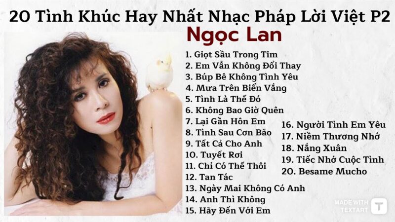 Lời Bài Hát Besame Mucho: Bản Tình Ca Bất Hủ Của Thế Giới