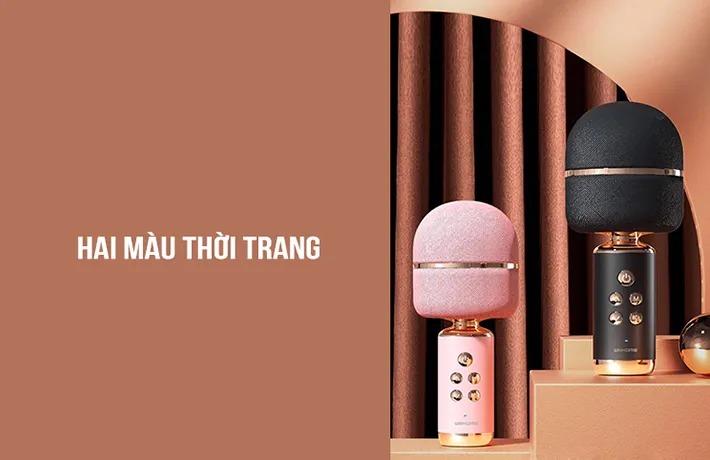 Mic hát Karaoke cầm tay kết nối Bluetooth D36 2