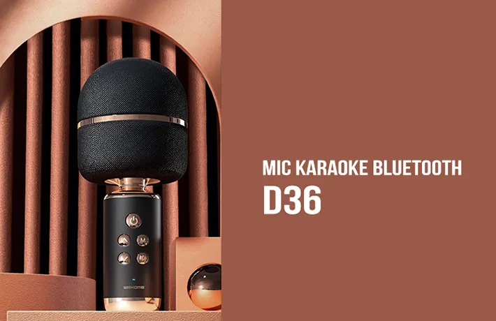 Mic hát Karaoke cầm tay kết nối Bluetooth D36 1