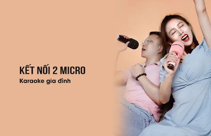 Mic hát Karaoke cầm tay kết nối Bluetooth D36 6