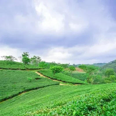 Một góc phố Sa Pa trong những ngày mưa với không khí se lạnh
