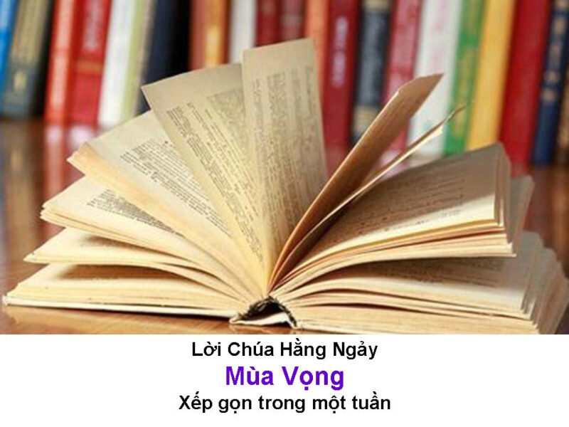 Lời Bài Hát Mùa Hoa Bỏ Lại: Giai Điệu Dịu Dàng Khắc Khoải Của Quang Dũng
