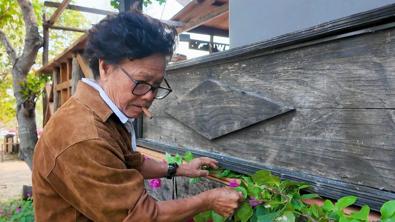 Thông tin cập nhật và những hoạt động gần đây của Nghệ sĩ Cao Minh