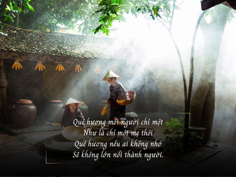 Thơ Đỗ Trung Quân: Nguồn cảm hứng và sự giao hòa cùng giai điệu