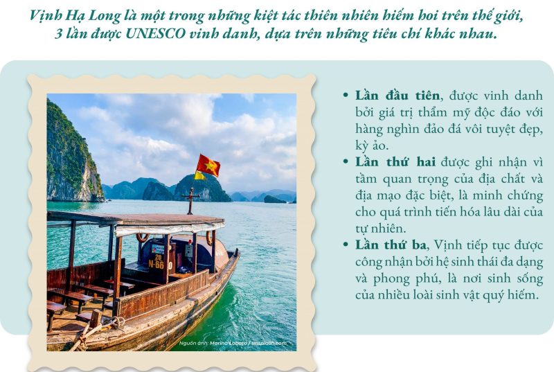 Di sản và sự vinh danh: Hồ Hoàng trong lòng công chúng